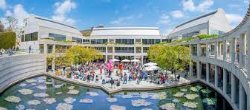 skirball
